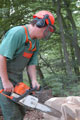 Click to see it big Ich mit Kettensäge, Impression aus dem Wald